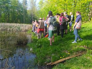 Měsíc pro zemi - Léčivá síla kamenů a bylin 10