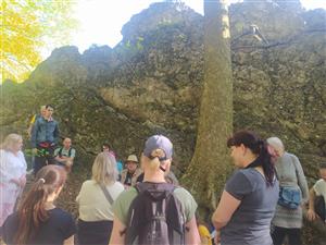 Měsíc pro zemi - Léčivá síla kamenů a bylin 6