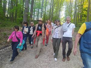 Měsíc pro zemi - Léčivá síla kamenů a bylin 5