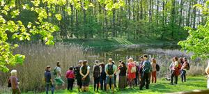 Měsíc pro zemi - Léčivá síla kamenů a bylin 4