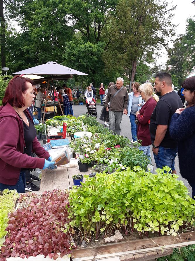 KOPRtoUR Globální stan na farmářském trhu
