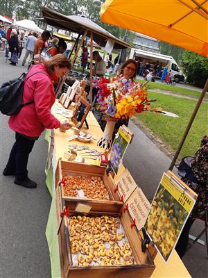 KOPRtoUR Globální stan na farmářském trhu