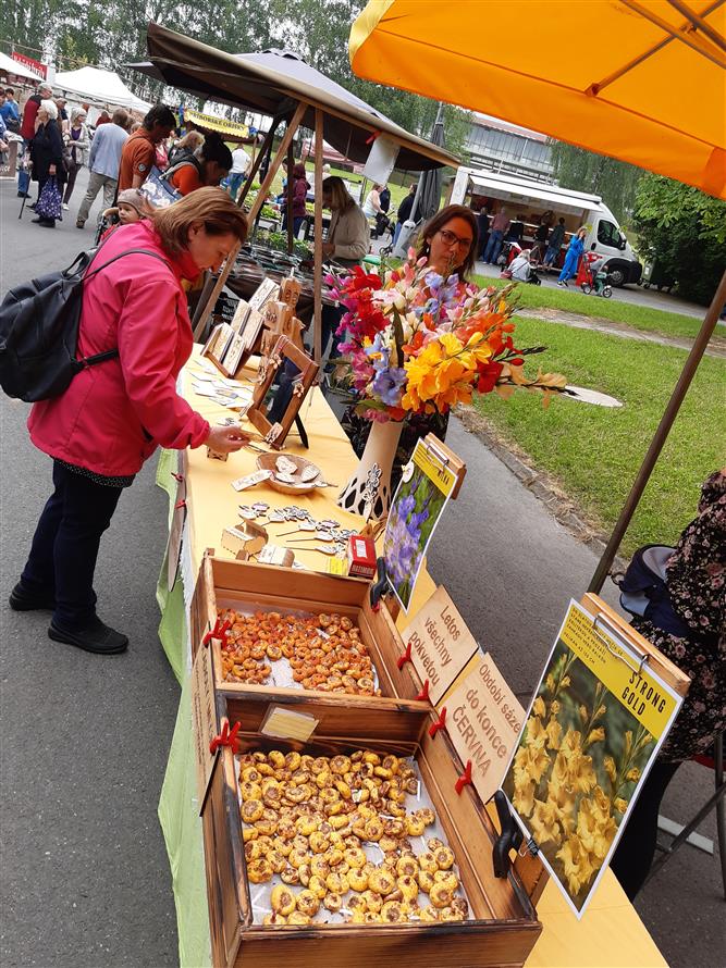 KOPRtoUR Globální stan na farmářském trhu