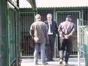 V pátek 25. března proběhla v psím útulku kontrola, zda nedochází k týrání svěřenců. To se nepotvrdilo, ba naopak bylo konstatováno, že útulek patří v okrese k těm lepším.<br/>FOTO: DANA HOĎÁKOVÁ