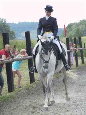 Na výstavě koní byly k vidění i různé druhy drezur.<br/>FOTO: DANA HOĎÁKOVÁ