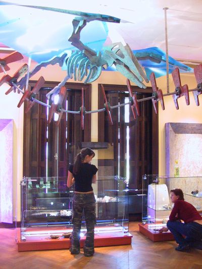 Lidé ze Studia Ulma dokončují práce na nové expozici v Šustalově vile. Její budoucí návštěvníci se mohou mimo jiné těšit i na stylizovaný model ptakoještěra.<br/><br/>
FOTO: DAVID MACHÁČEK
