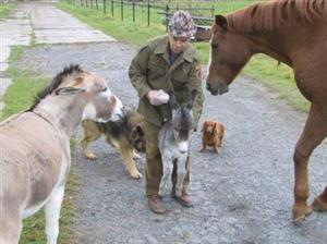 Koně a oslíka pořídil ekologicky hospodařící zemědělec Josef Folta svým dvěma vnukům, přestože ten mladší svůj dárek ještě sleduje z kočárku.<br/>                                                       
FOTO: DAVID MACHÁČEK
