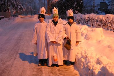 Žáci ze Základní školy sv. Zdislavy se v mrazivých dnech u hostitelů v rámci Tříkrálové sbírky  museli občas i ohřívat.<br/>
FOTO: DAVID MACHÁČEK
