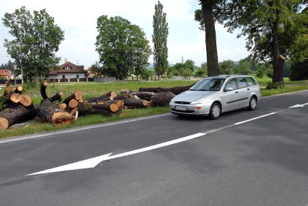 Lipová alej kolem Lubiny v Příboře prořídla. S nahrazením stromů se nepočítá.<br/> FOTO: DAVID MACHÁČEK