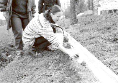 Migrace skokanů hnědých letos sice začala 8. března, ale nástup chladného počasí jejich přesun do rybníků na čas zbrzdil.<br />                                                                                             
FOTO: ARCHIV
