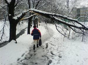 Letošní sněhová nadílka nebyla tak silná jako vloni, přesto se musí i tentokrát pokácet pár stromů, které neunesly váhu mokrého sněhu.<br/>                                                
FOTO: DAVID MACHÁČEK
