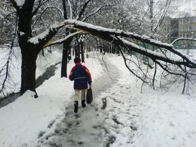 Letošní sněhová nadílka nebyla tak silná jako vloni, přesto se musí i tentokrát pokácet pár stromů, které neunesly váhu mokrého sněhu.<br/>                                                
FOTO: DAVID MACHÁČEK
