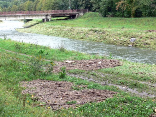 Naplaveniny z kousků dřev, pet lahví a dalšího odpadu „zdobí“ oba břehy řeky Lubiny. Podobný obrázek se naskýtá i na dalších tocích našeho regionu. <br/>FOTO: ILONA MAZALOVÁ