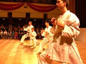 Členové oddílu karate při ASK Tatra Kopřivnice předvedli na slavnostním udílení cen v kulturním domě ukázku ze svého umění.<br/>                                                                      
FOTO: ONDŘEJ ZAPLETAL
