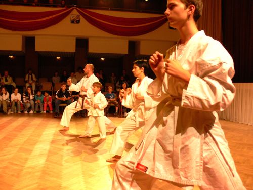 Členové oddílu karate při ASK Tatra Kopřivnice předvedli na slavnostním udílení cen v kulturním domě ukázku ze svého umění.<br/>                                                                      
FOTO: ONDŘEJ ZAPLETAL
