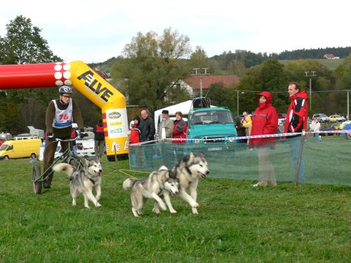 Speciální, maximálně odlehčenou tříkolku se závodníkem táhne psí spřežení. Psi jsou při jízdě ovládáni pouze brzdou.<br/>                                                                                     
FOTO: ILONA MAZALOVÁ
