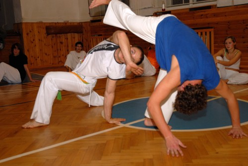 Capoeira je nejen bojové umění, ale také elegantní sport se spoustou tanečních a akrobatických prvků.<br/>
FOTO: DAVID MACHÁČEK