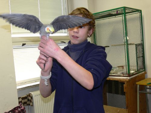 Na Základní škole Dukelské v Příboře mají žáci k dispozici zookoutek, rozsahem srovnatelným se zverimexem. O prázdninách si zvířata berou žáci na opatrování domů.<br/>          FOTO: ILONA MAZALOVÁ