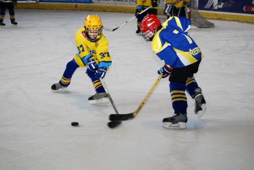 Nejmladší kopřivničtí hokejisté nepoznali na prvním ročníku Bike Fun Cupu  porážku a jasně zvítězili v obou skupinách.<br/>                               
FOTO: ONDŘEJ ZAPLETAL
