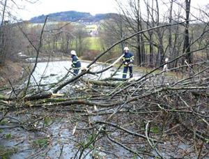 Na cestě do Závišic museli hasiči pořezat a odstranit patnáct stromů, které během sobotní vichřice napadaly na cestu a bránily motoristům v jízdě.<br/>                                           
FOTO: JSDH Kopřivnice
