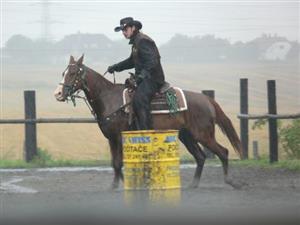 Westernové disciplíny se u příležitosti Bubla City Western Show většinou odehrávaly za vydatného deště. Koňům ani jezdcům počasí nečinilo žádné potíže.<br/>                    
FOTO: ILONA MAZALOVÁ

