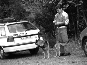 Při pátrací akci bylo sestaveno pět týmů, které prohledávaly 1 200 metrů koridoru v šířce jednoho kilometru.<br/>                                                                                                           
FOTO: ILONA MAZALOVÁ
