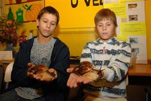 Martin Otruba (na fotografii vlevo) a Zdeněk Kubačka z chovatelského kroužku ’Mazlíci’ předvádějí dva exempláře největších suchozemských měkkýšů.<br/>                                   
FOTO: DAVID MACHÁČEK
