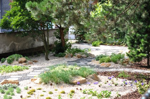 Zahrady mateřských škol se postupně přeměňují,děti v MŠ Jeřabinka se učí poznávat bylinky v praxi, na zahradě jsou vysazeny první rostliny.<br/>
FOTO: DAVID MACHÁČEK
