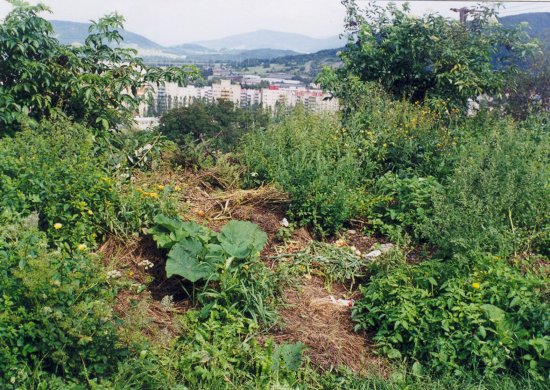 Za vytváření černých skládek může hrozit finanční postih. Lidé mohou využívat svozu biologicky rozložitelného odpadu, který se v těchto dnech znovu rozjíždí.
FOTO: ARCHIV OŽP