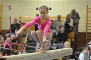 Kopřivnická gymnastka Barbora Žalmánková si z Mikulášského dvojboje odnesla deváté místo v kategorii předzávodnic.                                                                                     
FOTO: JANA FEILHAUEROVÁ