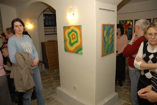 Vernisáž před týdnem zahájila měsíční výstavu prací kopřivnické výtvarnice a pedagožky Kateřiny Zamiškové. Ta je k vidění v místní Galerii ve vile.
FOTO: DAVID MACHÁČEK