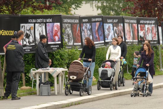 Kontroverzní výstava a petiční akce proti potratům se nesetkala s velkým zájmem. Petiční archy podepsalo asi šedesát kolemjdoucích.
FOTO: DAVID MACHÁČEK