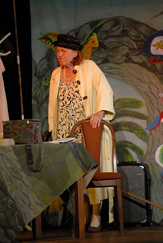 Rodinné divadlo populární Ivy Janžurové minulý pátek zahájilo další sezonu předplatného v kulturním domě komedií Pudl a Magnolie.
FOTO: DAVID MACHÁČEK
