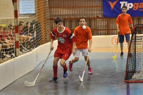 Mladší žáci za sebou mají okresní semifinále Orion Florbal Cupu. Vítězem se stala ZŠ M. Horákové, pořádající ZŠ E. Zátopka (na snímku) skončila třetí.
FOTO: JANA FEILHAUEROVÁ