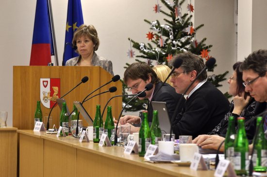 Zastupitelstvo města se v minulém týdnu sešlo na svém posledním letošním zasedání. Schválilo nejen rozpočet města, ale také několik vyhlášek a dalších dokumentů. 
FOTO: DAVID MACHÁČEK