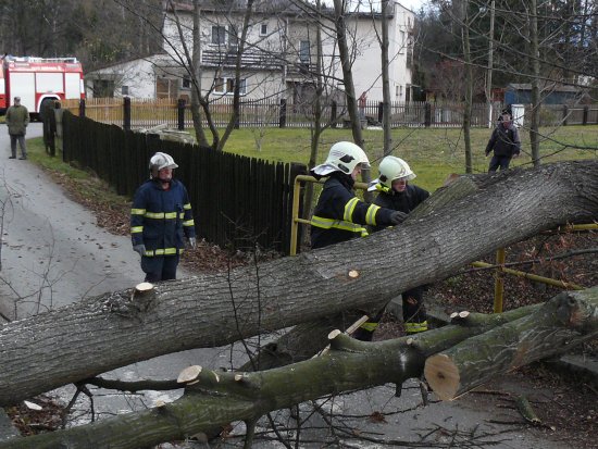 Poryv větru vyvrátil v Lubině dva velké stromy na místní komunikaci. Zprůjezdnit cestu ještě tentýž den přijeli kopřivničtí dobrovolní hasiči.
FOTO: JAN TIHELKA