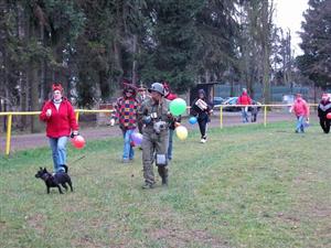 Zatímco v městech probíhaly začátkem roku novoroční koncerty, v Petřvaldě už podruhé startoval novoroční běh recesistů. 
FOTO: ARCHIV OBCE