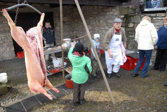 Ukázky řeznického řemesla přivedly v sobotu na Fojtství stovky lidí. Zájem o tradiční akci rok od roku stoupá.
FOTO: DAVID MACHÁČEK