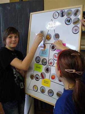 Žáci pátých tříd ze Základní školy na ulici Alšově se hrou učili, jak by měl vypadat správný jídelníček a jak jsou pro zdraví důležité ovoce a zelenina.
FOTO: ŠÁRKA NOVÁKOVÁ