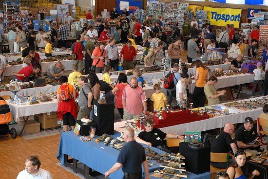 Bezmála jedenáct set modelů a jen zhruba o čtyři stovky víc diváků bylo k vidění na víkendové Beskyd Model Kit Show. Její organizátoři byli slabším zájmem veřejnosti zklamáni.
FOTO: DAVID MACHÁČEK