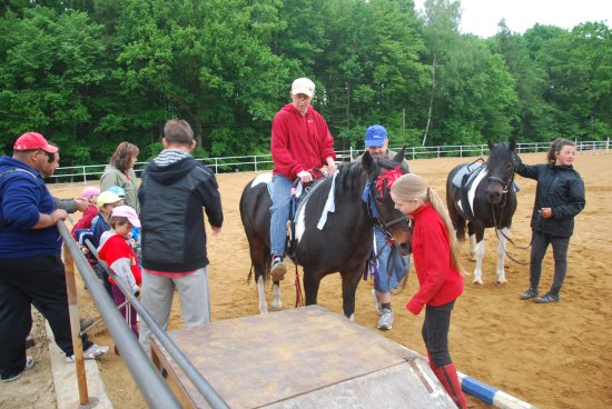Součástí Her bez hranic s mottem Koně nám dávají křídla, která postrádáme bylo nejen zdobení koňů, ale i jízda na nich či na kočáru.
FOTO: DANA HOĎÁKOVÁ