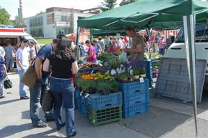 System.Linq.Enumerable+<TakeIterator>d__25`1[System.Char]