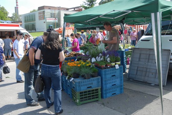 System.Linq.Enumerable+<TakeIterator>d__25`1[System.Char]