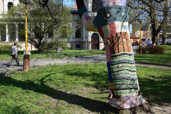 V rámci Guerrilla Knittingu se jeden ze stromů v sadu E. Beneše oblékl do pestrých barev. 
FOTO: DAVID MACHÁČEK