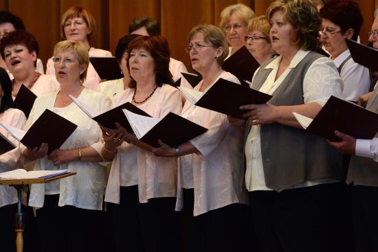Jarní koncert Pěveckého sdružení Kopřivnice nabídl pestrý hudební mix, ale mnoho posluchačů si na něj cestu nenašlo.
FOTO: DAVID MACHÁČEK