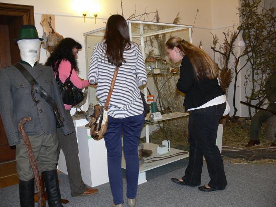 Zájemci o Muzejní noc si mohli kromě komponovaného programu prohlédnout i výstavy věnované 90. výročí myslivosti a tradičním romským řemeslům.
FOTO: ILONA MAZALOVÁ