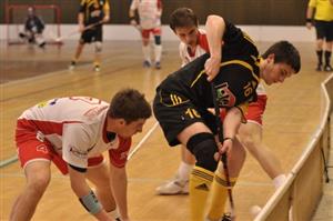 Vikingové věří, že mohou v I. lize postoupit do play-off.
FOTO: JANA FEILHAUEROVÁ