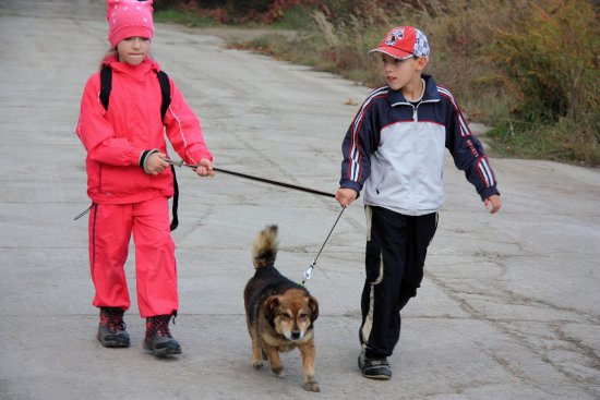Psí kroužek pro děti, které doma vytouženého čtyřnohého kamaráda zatím nemají, se těší nečekané popularitě.
FOTO: IVA GILAROVÁ