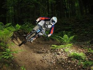 Vyznavači adrenalinových sjezdů si už svahy Červeného kamene oblíbili. K již existující trati by ale rádi přidali další a vybudovali zde bikepark, který by lákal cyklisty z celé republiky.
FOTO: JULIE HRUBÁ