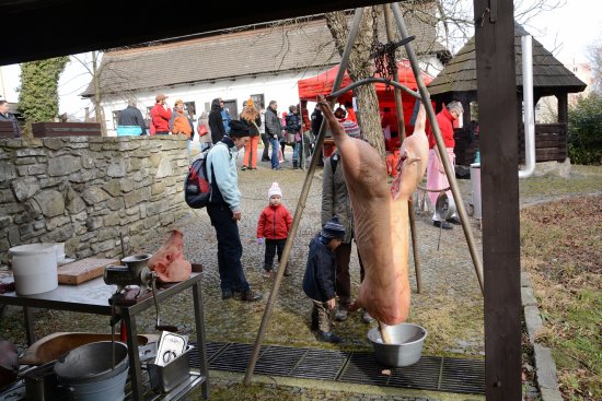 Letošní zabijačka na Fojtství se odehrála v takřka jarním počasí. I to bylo důvodem vyšší návštěvnosti než v minulém roce.
FOTO: DAVID MACHÁČEK